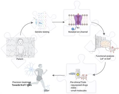 Frontiers | New Trends And Most Promising Therapeutic Strategies For ...